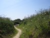 Maisy battery 16
