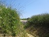 Maisy battery 5